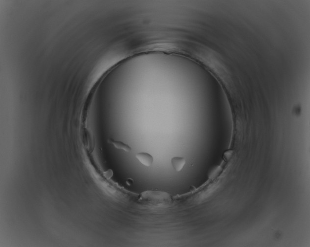 X0000093581426200710221454