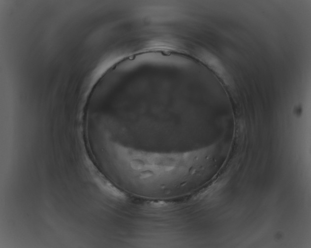 X0000093581427200710221454