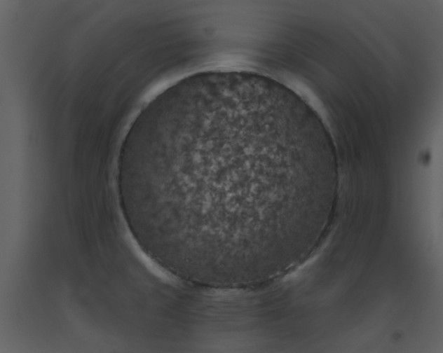 X0000093581429200710221454