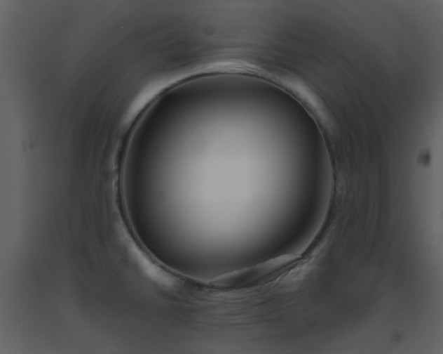 X0000093581430200710221454