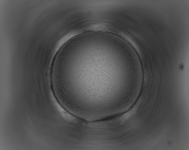 X0000093581434200710221454