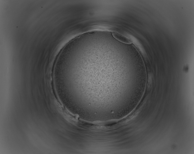 X0000093581435200710221454
