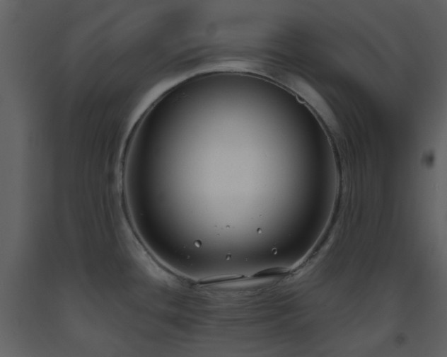 X0000093581436200710221455
