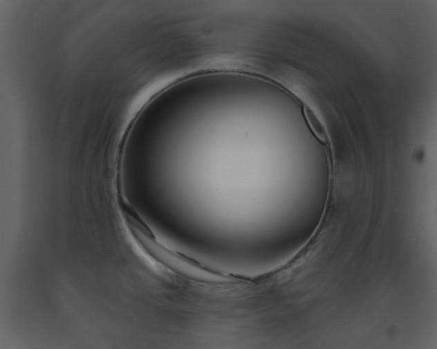 X0000093581437200710221455