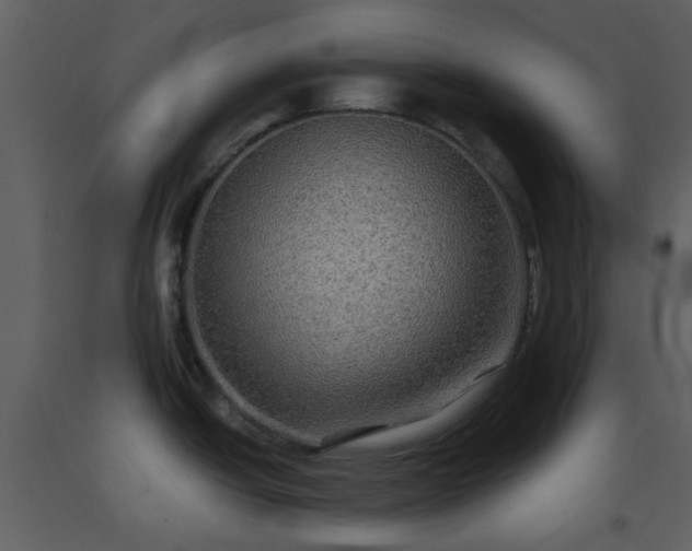 X0000093581438200710221455