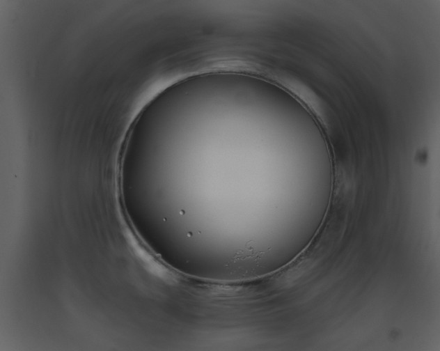 X0000093581439200710221455