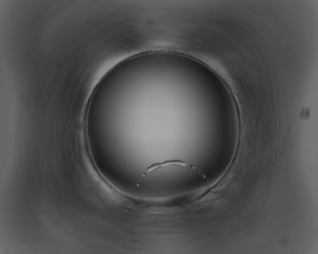 X0000093581440200710221455