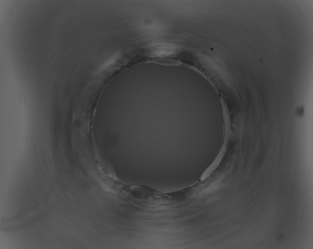 X0000093581441200710221454