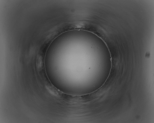 X0000093581442200710221454
