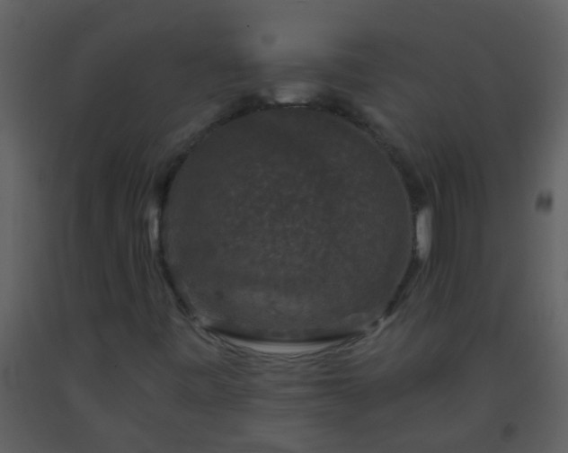 X0000093581443200710221454