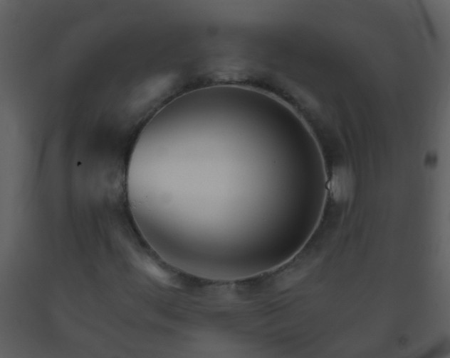 X0000093581444200710221454