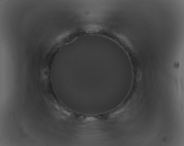 X0000093581445200710221454
