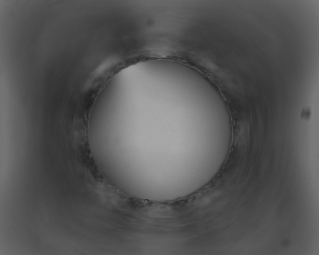 X0000093581446200710221454