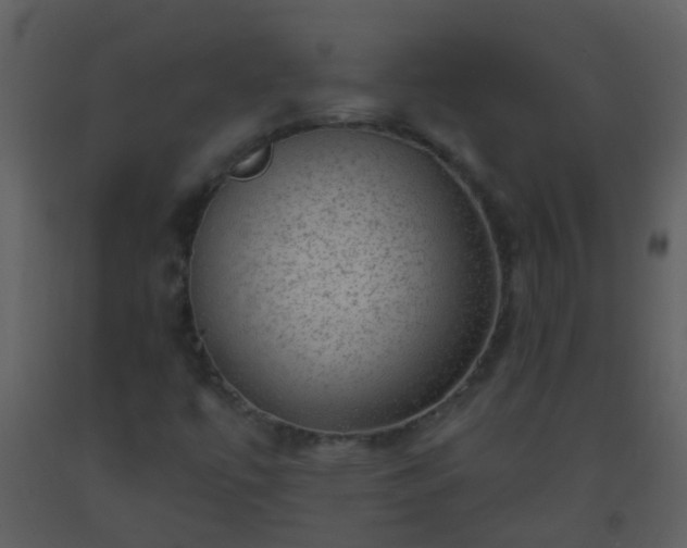 X0000093581447200710221454