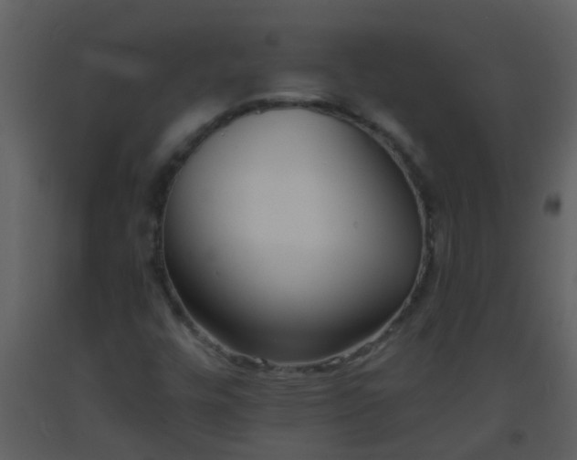 X0000093581448200710221454