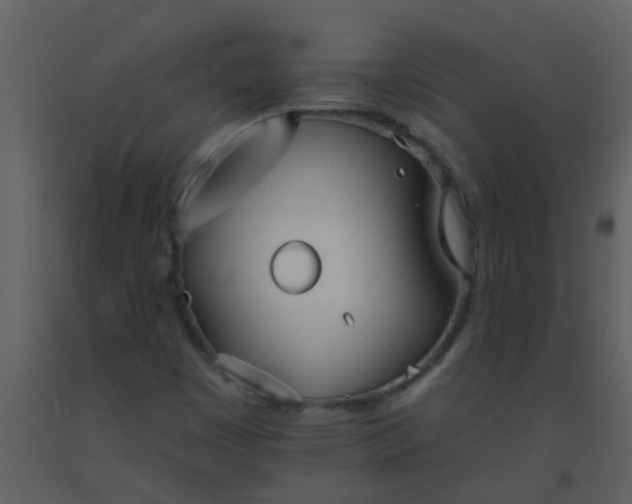 X0000093581449200710221454