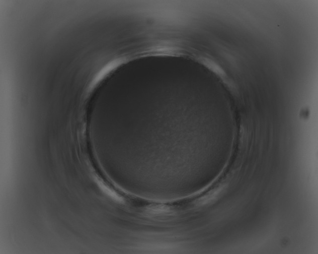 X0000093581450200710221454