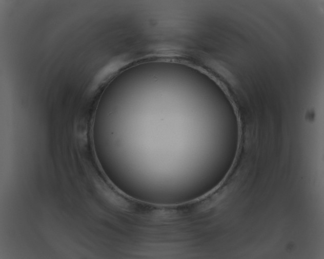 X0000093581451200710221454