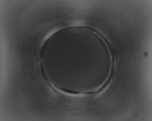 X0000093581453200710221454