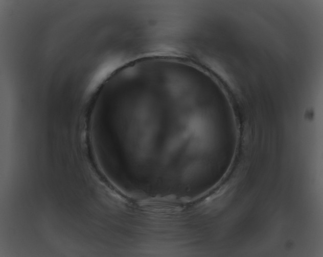 X0000093581455200710221454