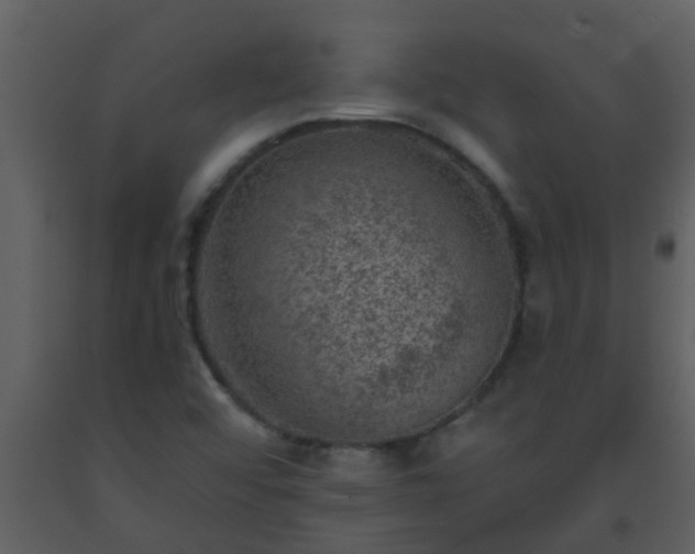 X0000093581456200710221454