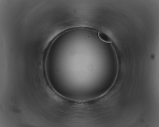 X0000093581460200710221454