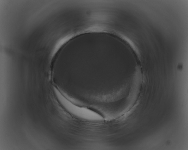 X0000093581461200710221454