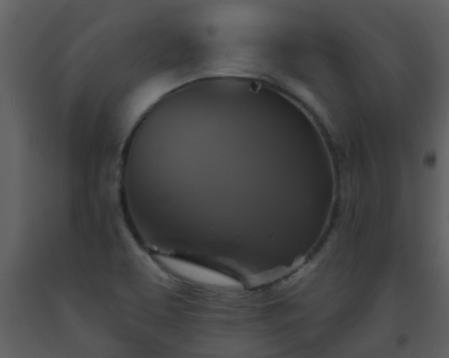 X0000093581463200710221454