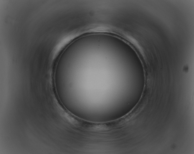 X0000093581464200710221454