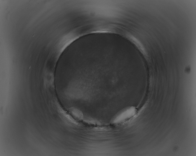 X0000093581465200710221454
