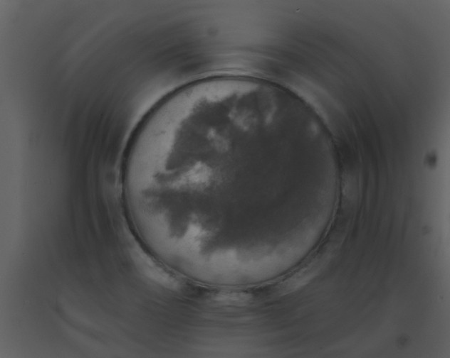 X0000093581466200710221454