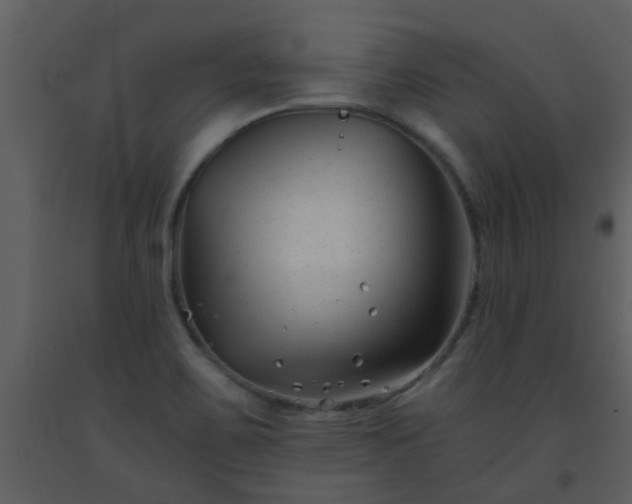 X0000093581467200710221454