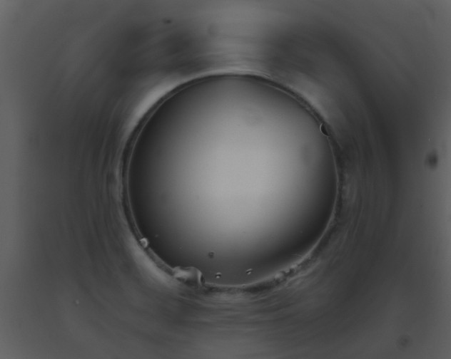 X0000093581468200710221454