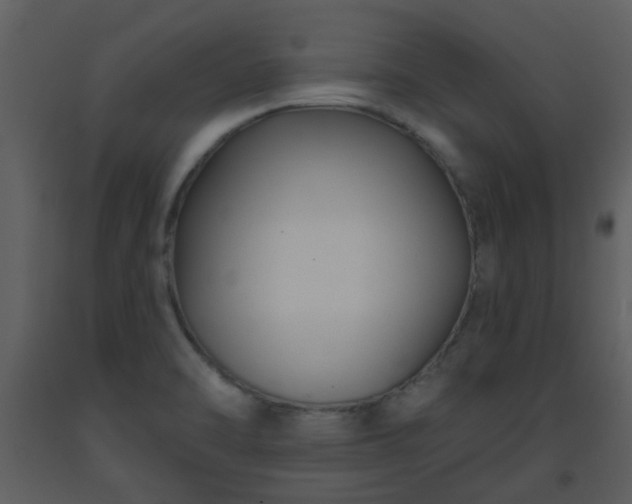 X0000093581470200710221454