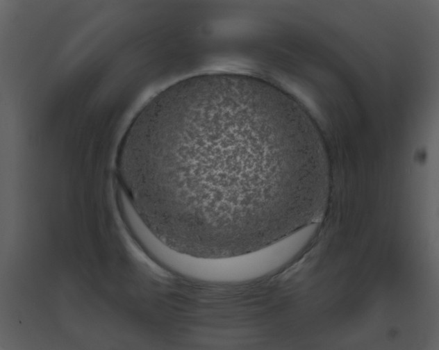X0000093581471200710221454