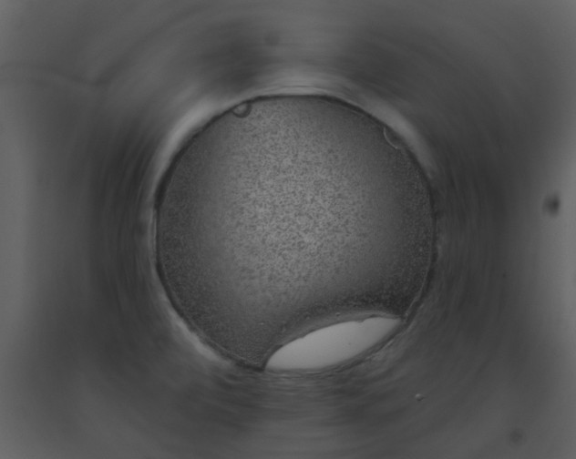 X0000093581472200710221454