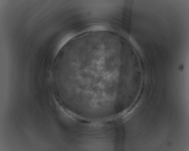 X0000093581473200710221454