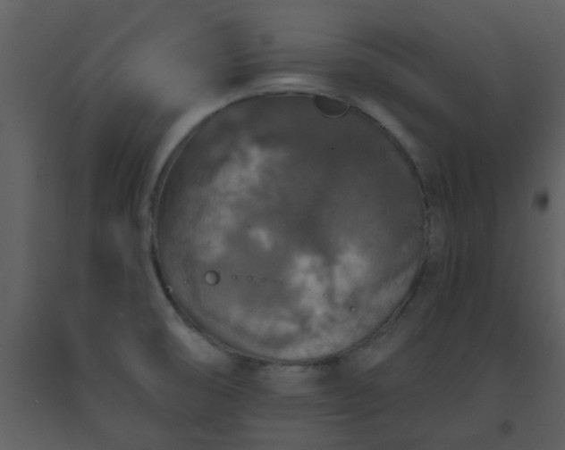 X0000093581474200710221454