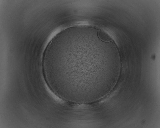 X0000093581475200710221454