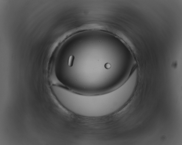 X0000093581477200710221454