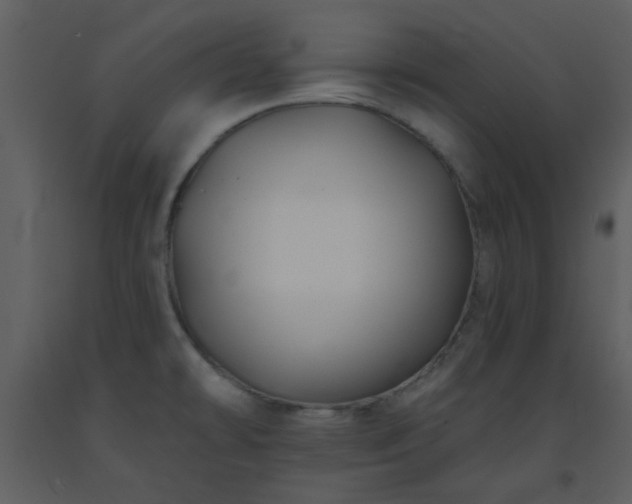 X0000093581478200710221454