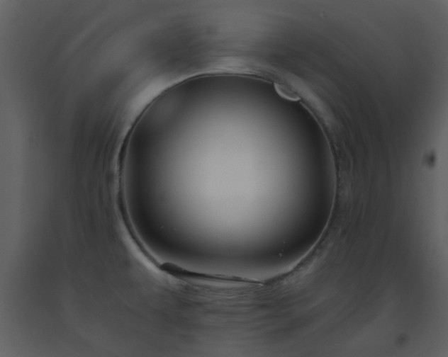 X0000093581479200710221453