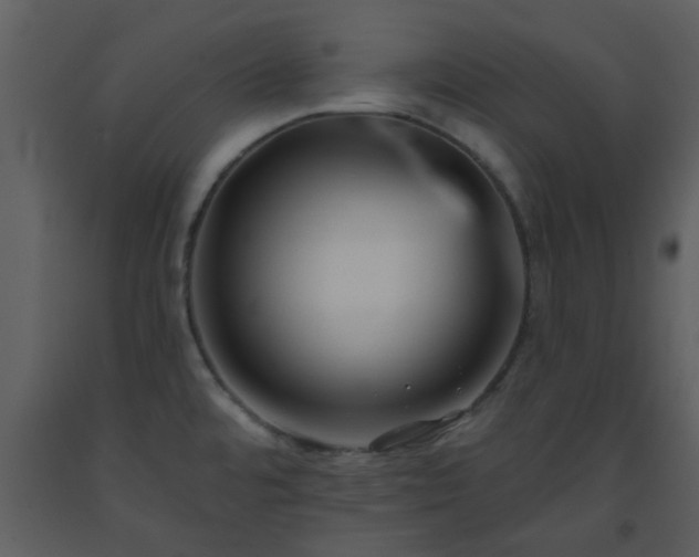 X0000093581480200710221453