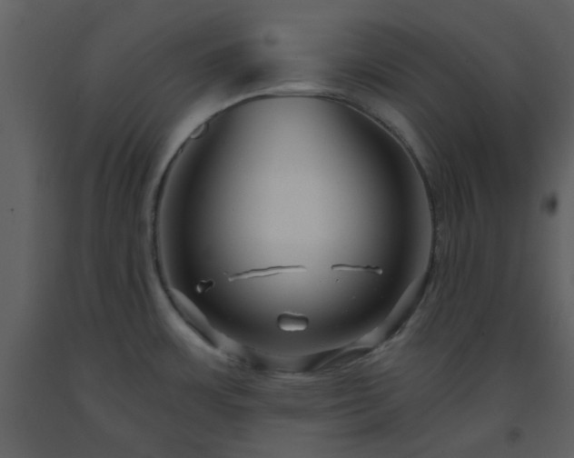 X0000093581483200710221453