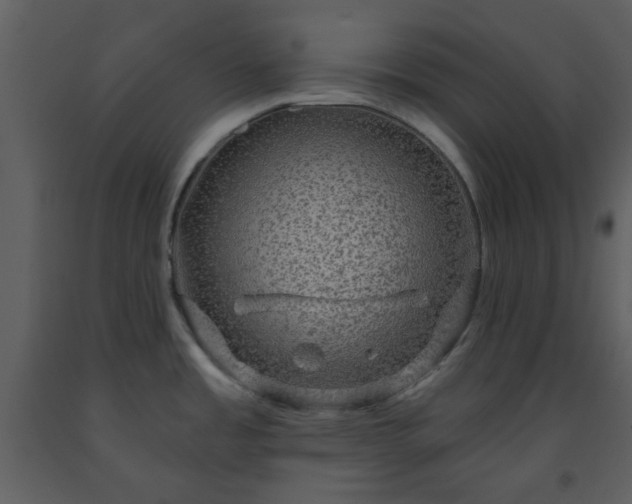 X0000093581485200710221453