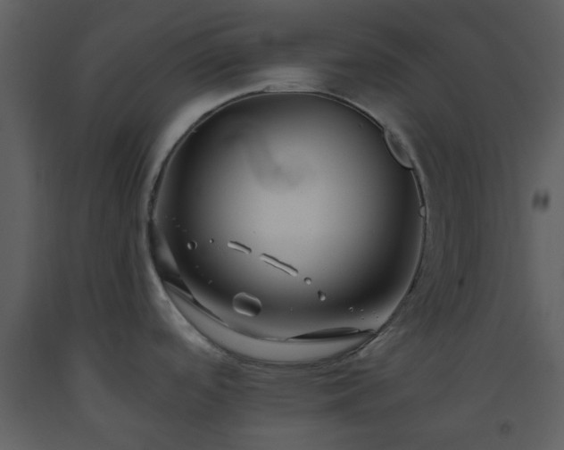 X0000093581488200710221453