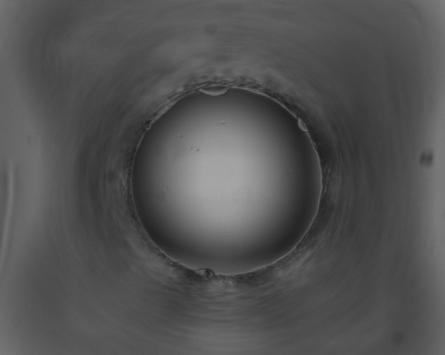 X0000093581489200710221453