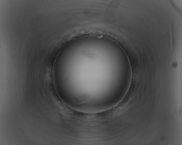 X0000093581490200710221453