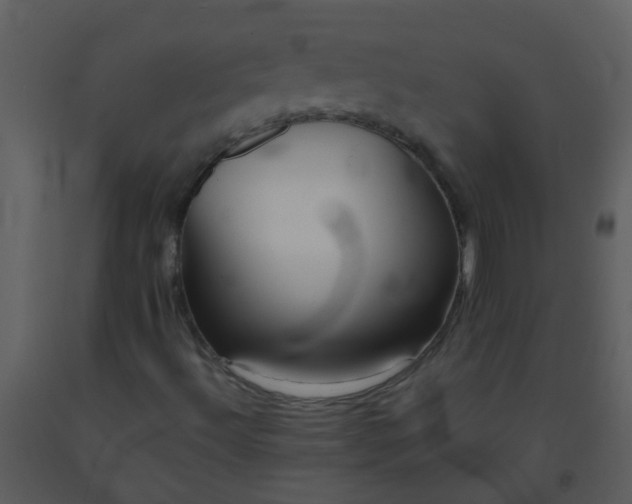 X0000093581492200710221453