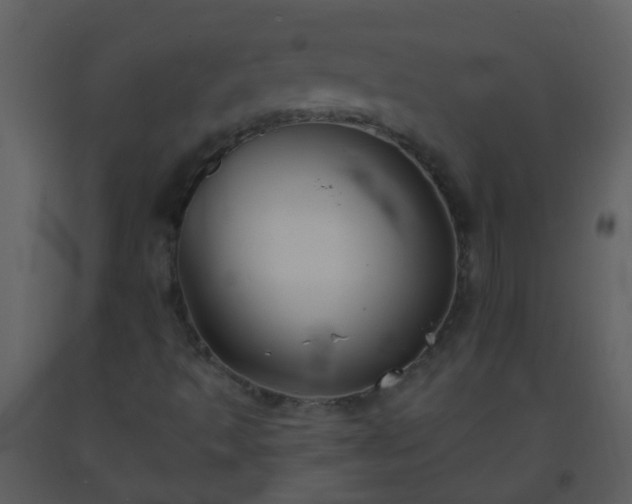 X0000093581493200710221453
